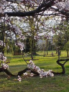 B&B / Chambre d'hôtes DOMAINE BERENGUER 471 Chemin du Mont 42155 Ouches Rhône-Alpes