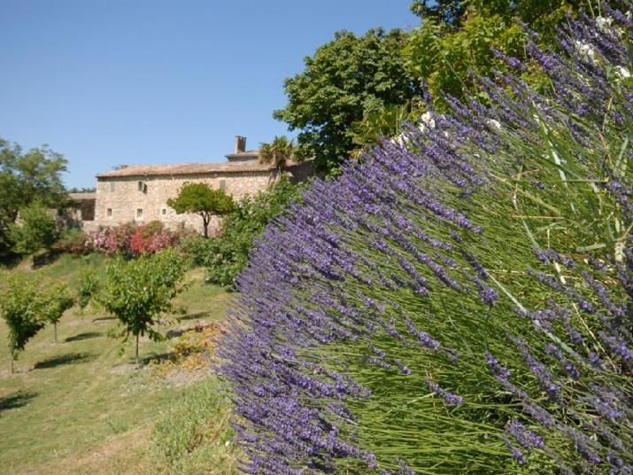 Domaine de Cousignac Domaine Notre Dame De Cousignac, 07700 Bourg-Saint-Andéol