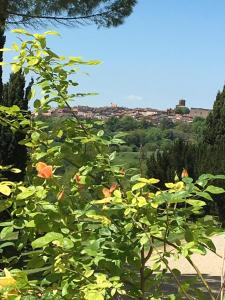 Domaine de Gailhaguet B&B