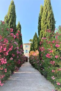 B&B / Chambre d'hôtes Domaine de l'Aufrene 83, Vieux chemin de Toulon 83400 Hyères Provence-Alpes-Côte d\'Azur