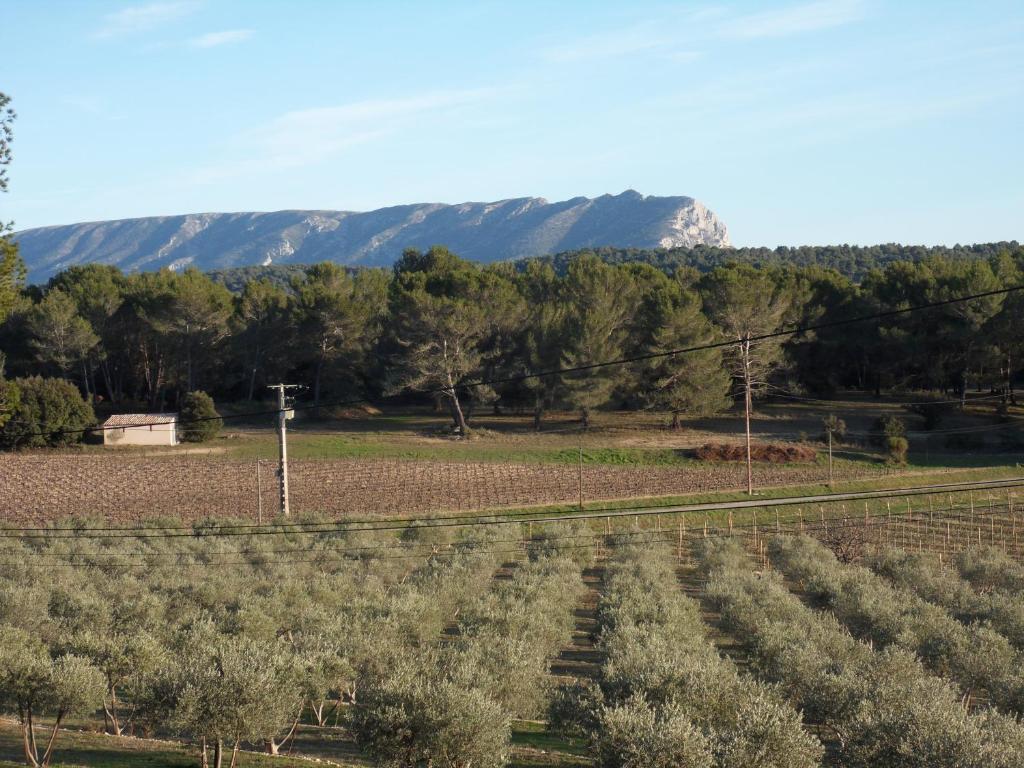 B&B / Chambre d'hôtes Domaine de L'Olibaou CHEMIN DU PLAN 13770 Venelles