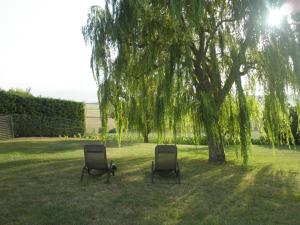 B&B / Chambre d'hôtes Domaine de la Vigne La Rieunier - Dourlhes 81600 Cadalen Midi-Pyrénées