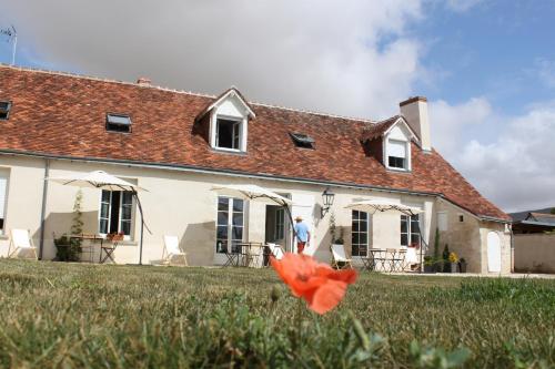 Domaine de Praline Opale