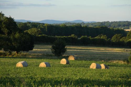 Domaine de Savigny
