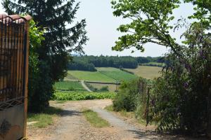 B&B / Chambre d'hôtes Domaine des Aloets Le Bourg Rue Pierre Poitrasson 69620 Moiré Rhône-Alpes