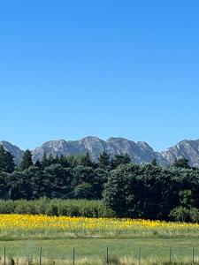 Domaine des Eucalyptus