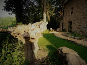 Domaine des Marequiers chambre Alchemille