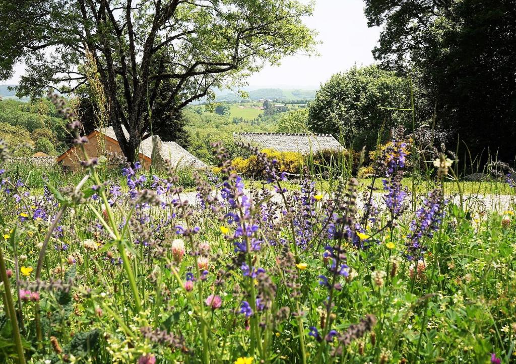 B&B / Chambre d'hôtes Domaine des Maréquiers chambre Mélilot Hameau de Beauregard 48340 Saint-Germain-du-Teil