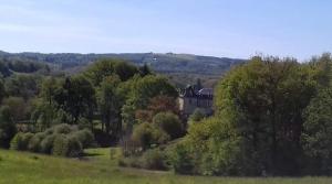 Domaine du Castellare