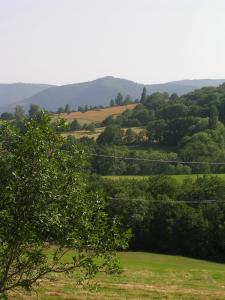 Domaine du Clap