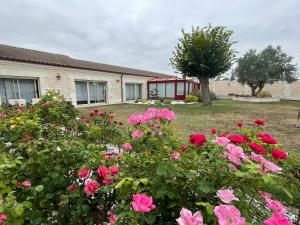 Domaine du Clos Pallacien
