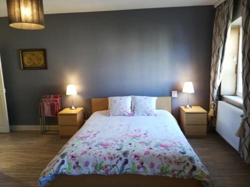Domaine Jacaranda de Banaudon - Chambres d'Hôtes- Coeur de Ville - Lunéville- Soirée étape VRP