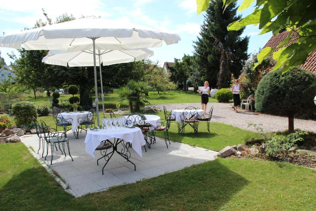 Domaine Jacaranda de Banaudon - Chambres d'Hôtes- Coeur de Ville - Lunéville- Soirée étape VRP 54300 Lunéville