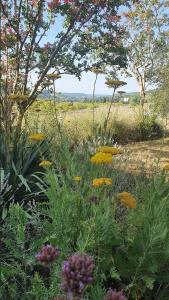 Domaine Lapèze