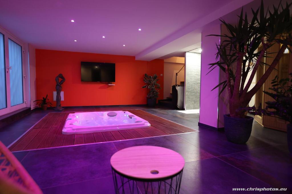 Ds Plaisir Love Room avec sauna, jacuzzi à Nancy Rue Daniel Paul Cavallier, 54100 Nancy