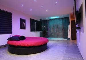 B&B / Chambre d'hôtes Ds Plaisir Love Room avec sauna, jacuzzi à Nancy Rue Daniel Paul Cavallier 54100 Nancy Lorraine