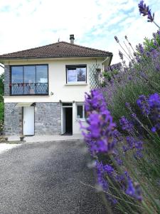 B&B / Chambre d'hôtes Du coq à l'âme 15 rue Gustave Vidalin 19460 Naves Limousin