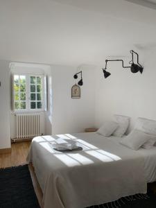 B&B / Chambre d'hôtes EN COMPAGNIE DES ÉCUREUILS 14 rue Jean Inglessi 37230 Fondettes Région Centre