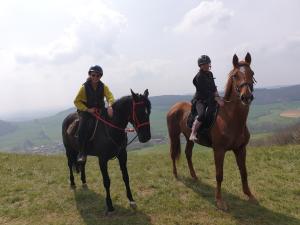 Equi-lodges