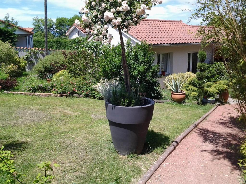 B&B / Chambre d'hôtes Érable Pourpre 16 Chemin des Faviers 42610 Saint-Georges-Haute-Ville