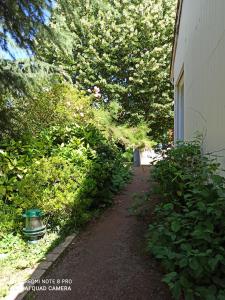 B&B / Chambre d'hôtes Érable Pourpre 16 Chemin des Faviers 42610 Saint-Georges-Haute-Ville Rhône-Alpes