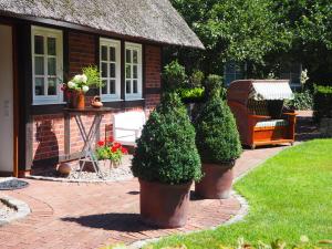 B&B / Chambre d'hôtes Ferienhof Hage Im Dorfe 115 - 121 49448 Hüde Basse-Saxe