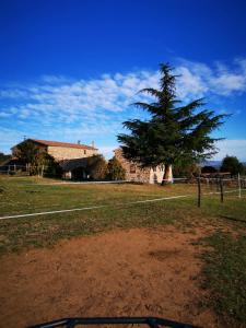 B&B / Chambre d'hôtes Ferme de la Combe - The Goldy's Farm 130, Chemin de la Combe 07290 Saint-Jeure-dʼAy Rhône-Alpes