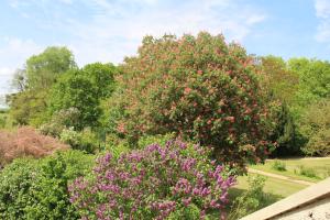 B&B / Chambre d'hôtes Ferme de la Vallière 59 Grande Rue 77440 Tancrou Île-de-France