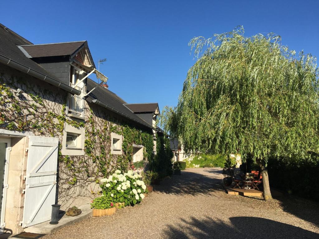 B&B / Chambre d'hôtes Ferme de Marpalu Chemin Rural 1 Lieu-dit Marpalu 41220 La Ferté-Saint-Cyr