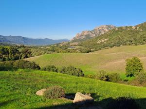 B&B / Chambre d'hôtes Ferme de Roccapina ferme de roccapina Vallée de l Ortolo 20100 Sarragia Corse