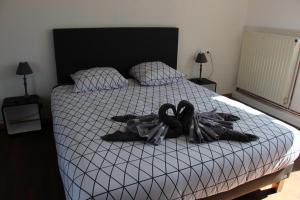 B&B / Chambre d'hôtes Ferme Du Pre Vert - Chambres d'hôtes B&B 8 rue de la Mairie 62890 Nort-Leulinghem Nord-Pas-de-Calais