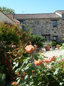 B&B / Chambre d'hôtes Fleur de Vigne 23 la Maisdonnère 44690 Monnières Pays de la Loire