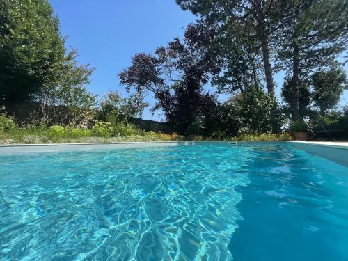 Fleurs de Vignes Piscine