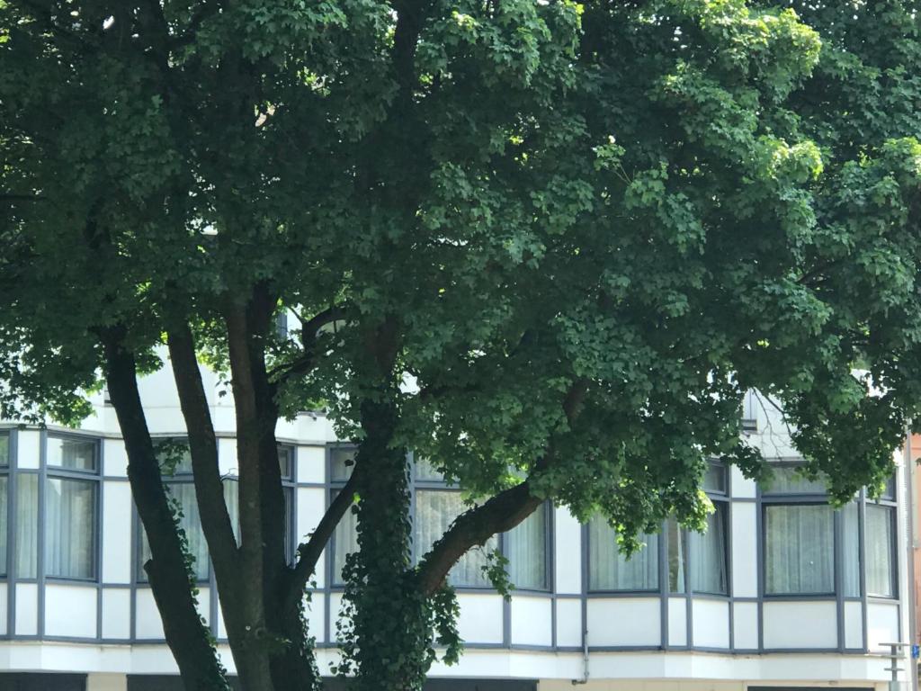 Gästezimmer Klein und Fein für nach dem Wein 12 Moselstraße, 54347 Neumagen-Dhron