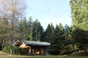 B&B / Chambre d'hôtes Gasthaus Staude Obertal  20 78098 Triberg im Schwarzwald Bade-Wurtemberg