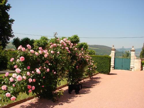 Gentilhommière de Collonges