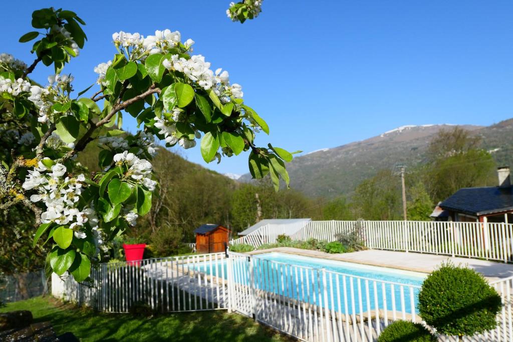 B&B / Chambre d'hôtes Gitamiglos Chambres d’Hôtes Arquizat 09400 Norgéat