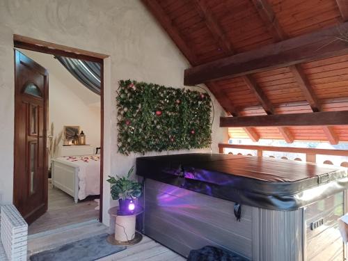 Gite avec SPA privé