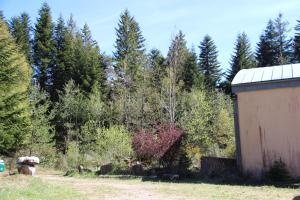 Gîte d'étape et table d'hôtes Les Airelles