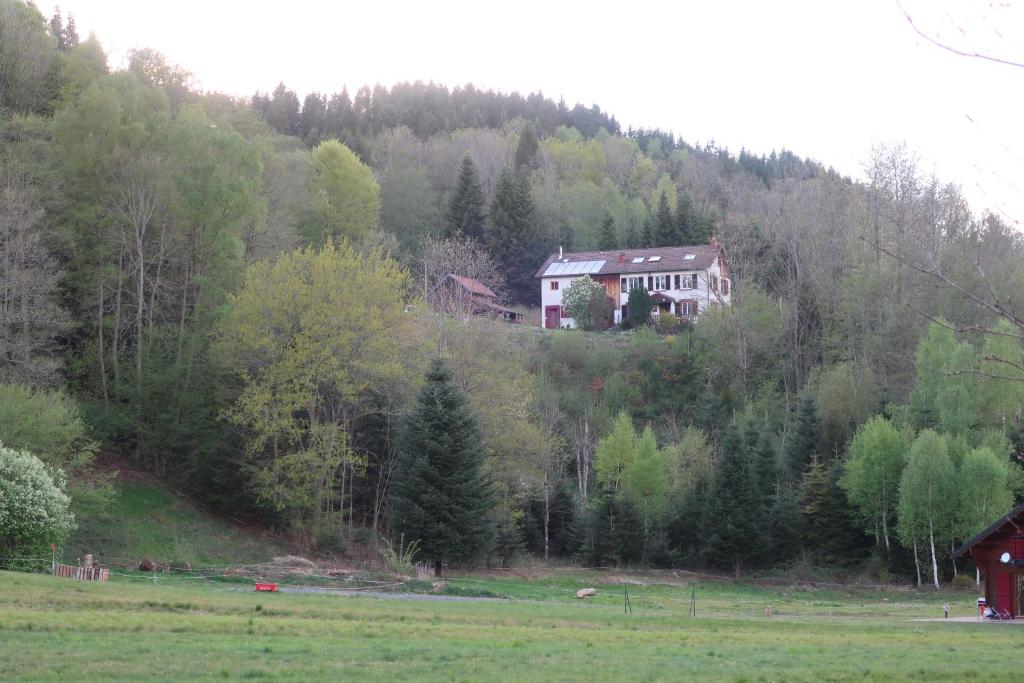 B&B / Chambre d'hôtes Gîte et chambres d'hôtes le Chêne 625 le chêne 88230 Ban-sur-Meurthe-Clefcy