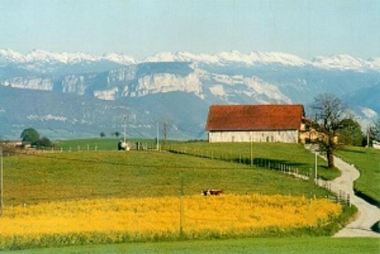 Gîte La Grange Du Haut 830 Chemin D'abraham, 38160 Saint-Antoine