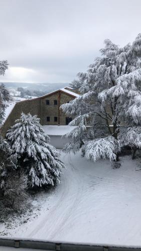 gîte Les Marronniers