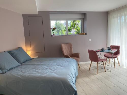 Grande chambre d’hôte centre ville