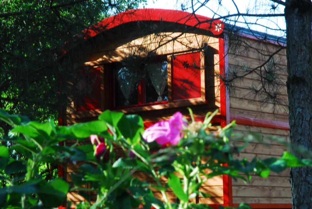 Gypsy Nature B&B Le Trait De La Noue n.a, 49160 Jumelles