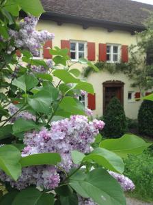 Haus Probst am See