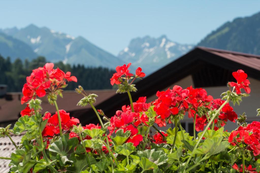 B&B / Chambre d'hôtes Hotel Garni Regina Metzgerstr. 7 87561 Oberstdorf