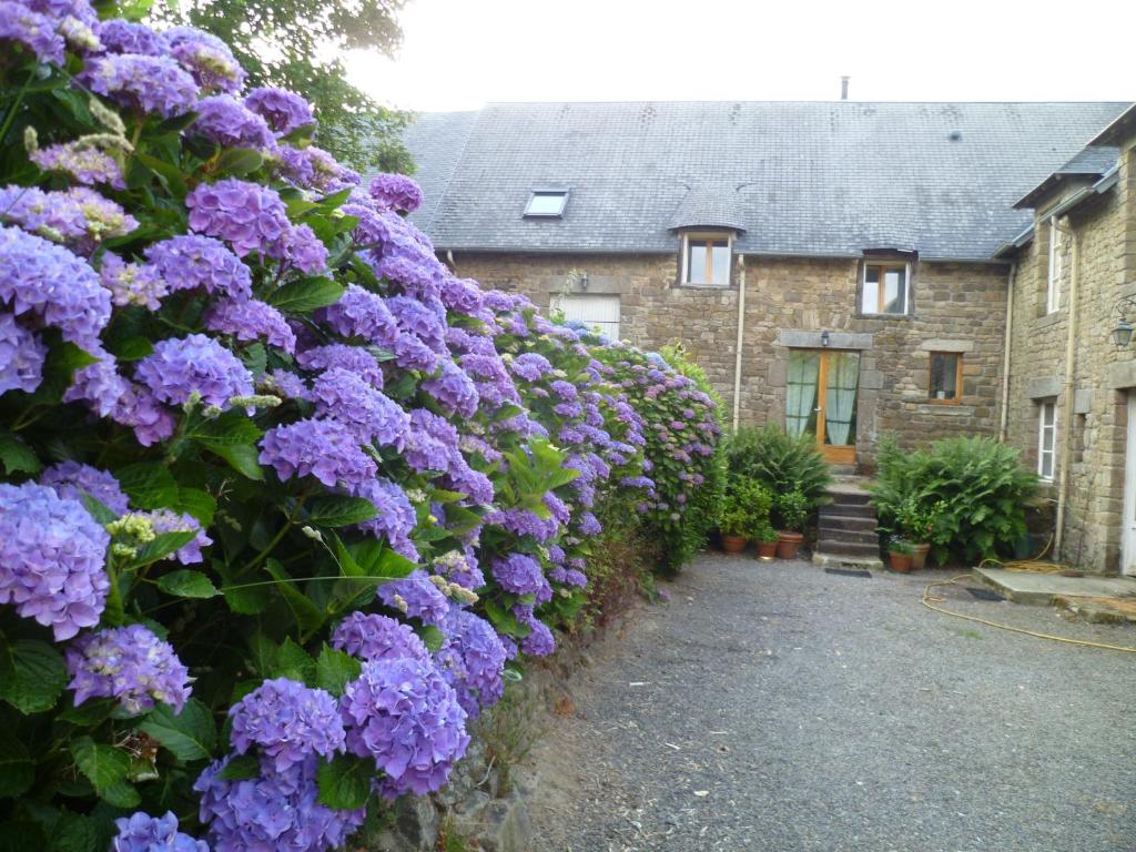 Il était une fois un jardin 89170 Saint-Fargeau