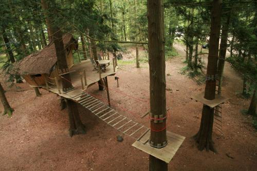 Insolite dans les arbres Les Ormes, Epiniac