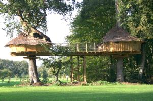 Insolite dans les arbres Les Ormes, Epiniac