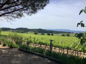 jardin d'antan